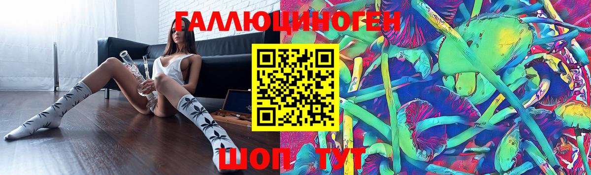 Галлюциногенные грибы Cubensis Гудермес