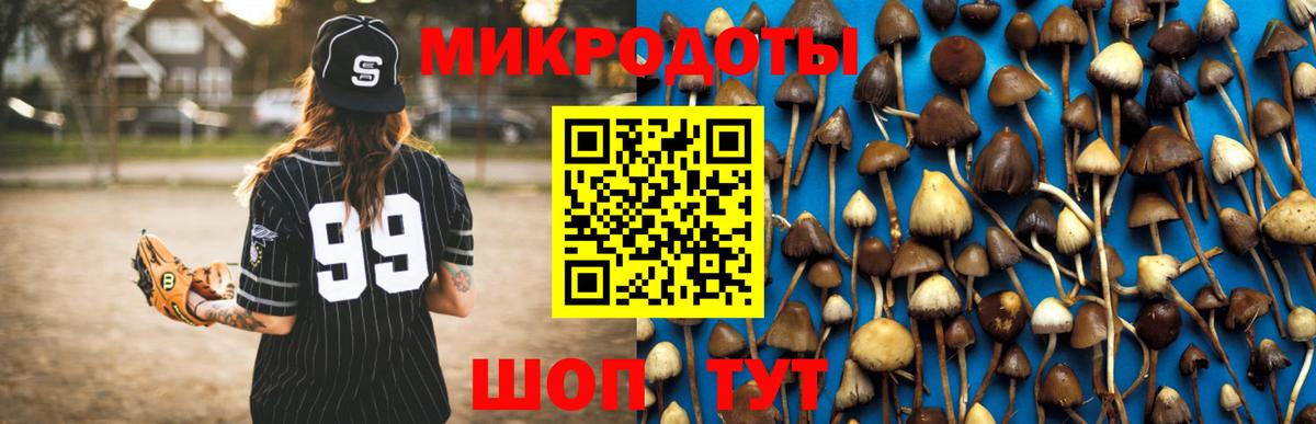 где продают   Псилоцибиновые грибы MAGIC MUSHROOMS  Вход с VPN  Гудермес 